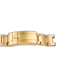 GMT-Master II