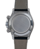 Daytona '' Meteorite''