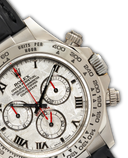 Daytona '' Meteorite''