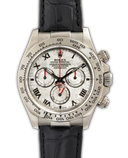 Daytona '' Meteorite''