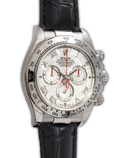 Daytona '' Meteorite''