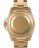 GMT-Master II ''SARU''
