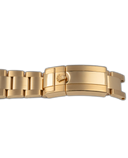GMT-Master II ''SARU''