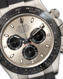 Daytona LN - White Gold