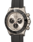 Daytona LN - White Gold