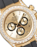 Daytona ''New with Sticker''