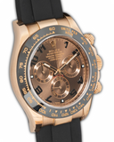 Daytona ''Chocolate''
