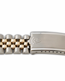 GMT-Master II  ''Eye of Tiger ''