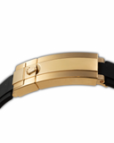 Daytona ''Yellow Gold - Meteorite'' - ''NEW 2026''
