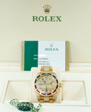 GMT-Master II ''SARU Factory Diamonds''