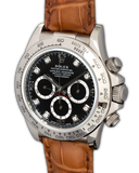 Daytona ''Zenith''