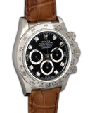 Daytona ''Zenith''