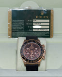 Daytona ''Chocolate''