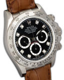 Daytona ''Zenith''