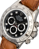 Daytona ''Zenith''